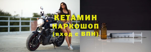 стафф Тайга